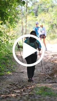 BIB:  <button type="button" onclick="openModal(27642032)" class="btn btn-primary btn-sm float-right" data-toggle="modal" data-target=".modal-high-quality">
                <i class="fa fa-download"></i> Download
                </button>